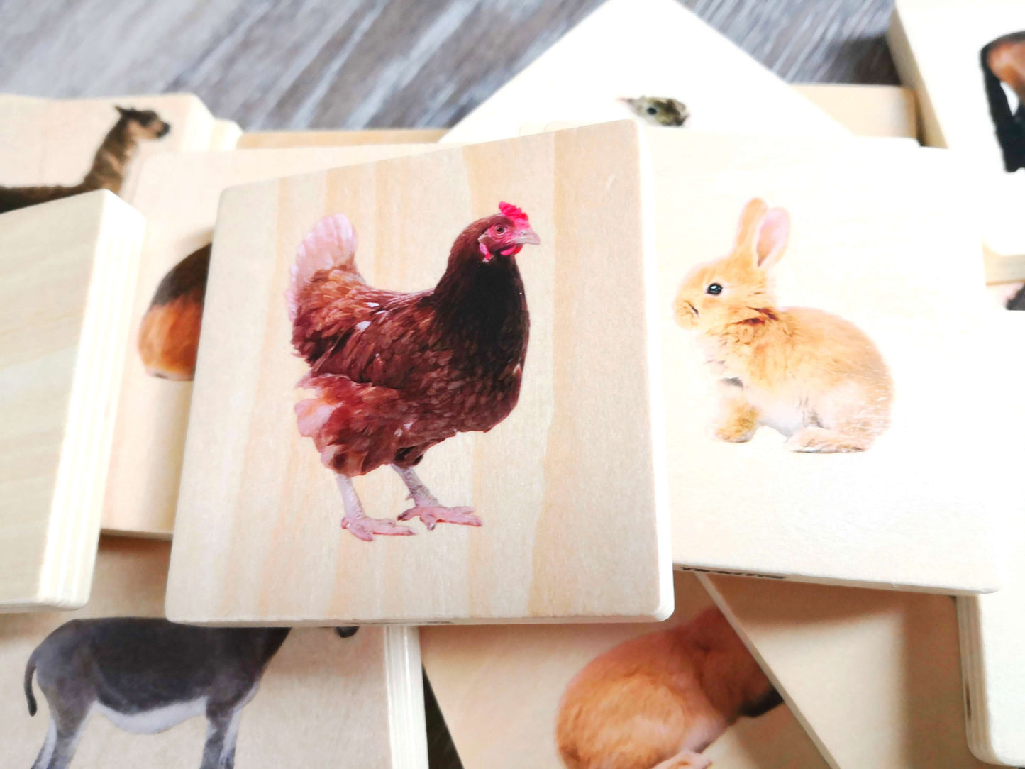 animal matching tiles - domestic