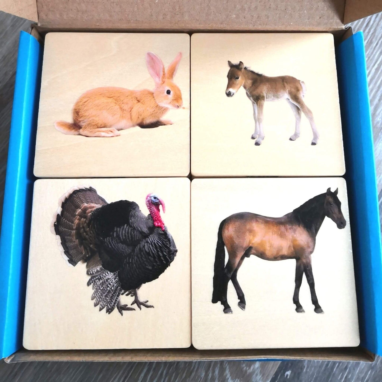 animal matching tiles - domestic