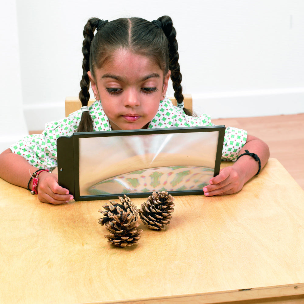 Sheet magnifier