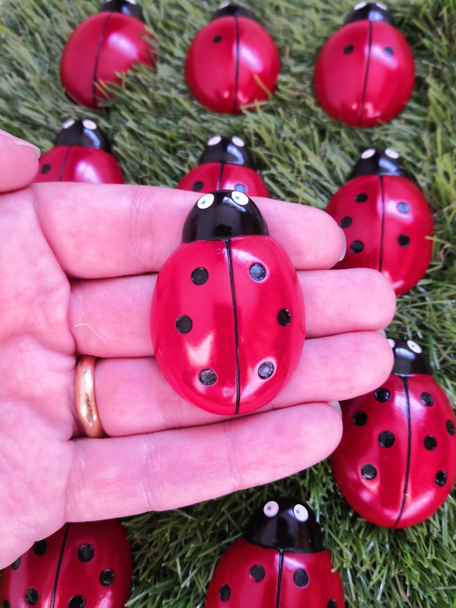 Ladybug counting stones
