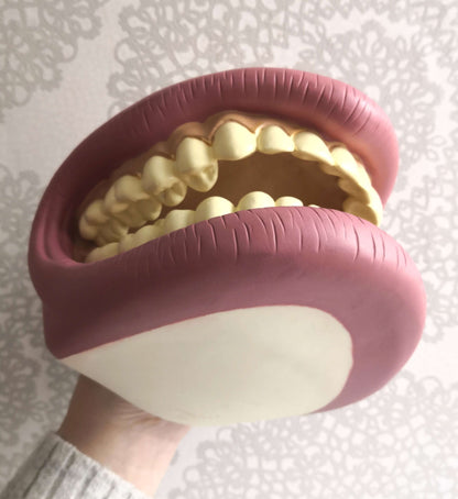 Giant Teeth Demonstration Model