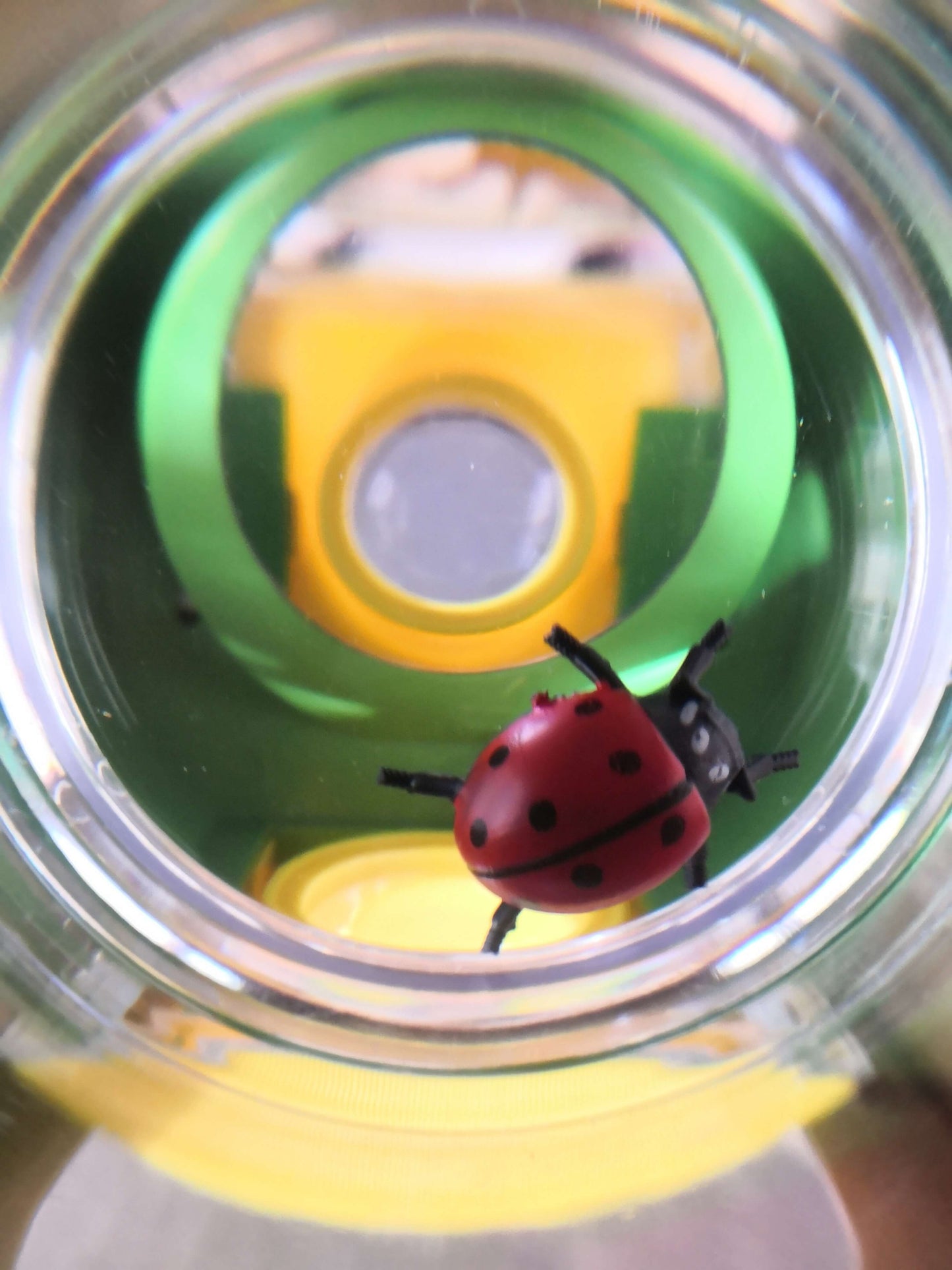 Creature Peeper Bug Viewer Eric Carle