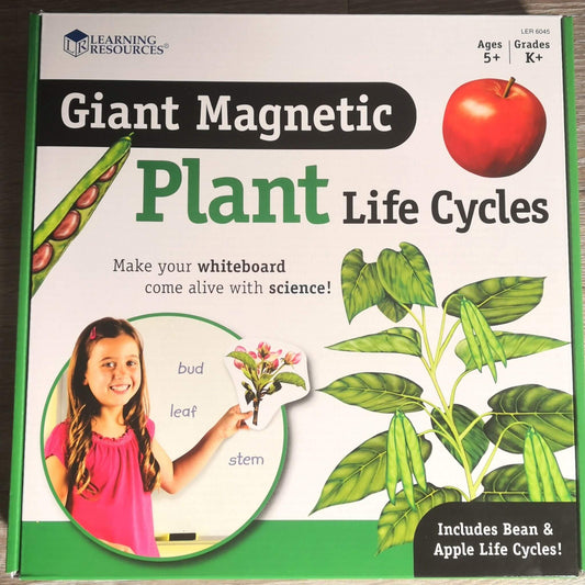 plant life cycle - apple tree and bean plant