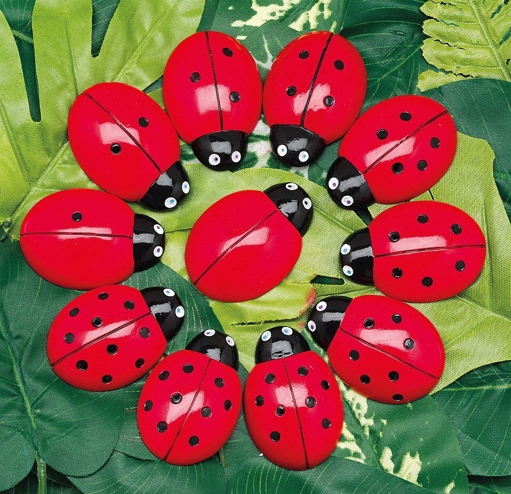Full Set Ladybird Stones