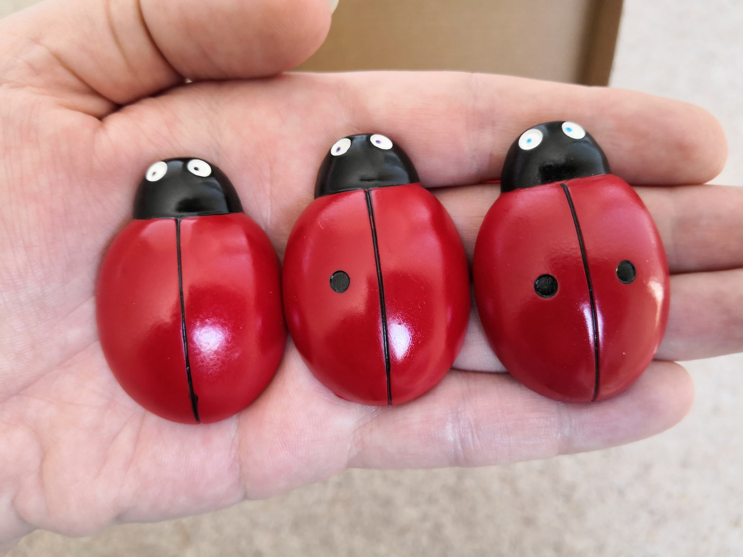 Full Set Ladybird Stones