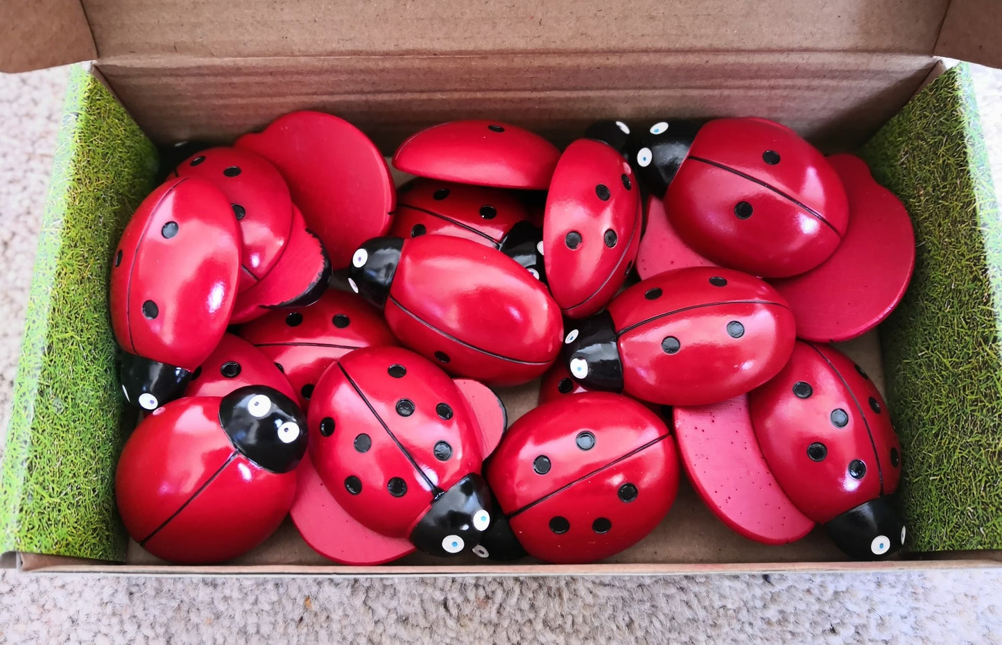 Full Set Ladybird Stones