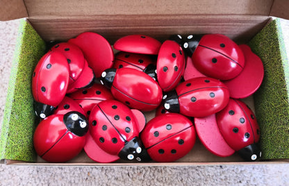 Full Set Ladybird Stones